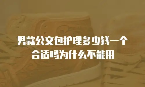 男款公文包护理多少钱一个合适吗为什么不能用