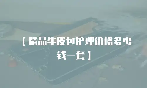 【精品牛皮包护理价格多少钱一套】