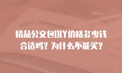 精品公文包DIY价格多少钱合适吗？为什么不能买？