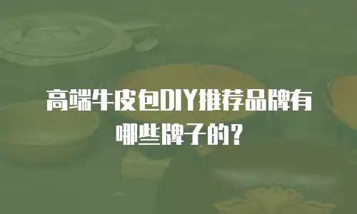 高端牛皮包DIY推荐品牌有哪些牌子的？