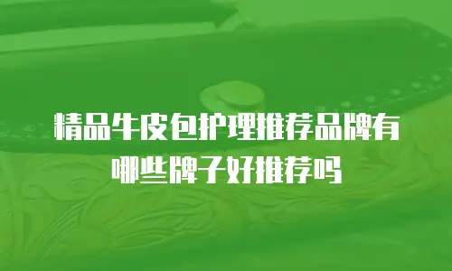 精品牛皮包护理推荐品牌有哪些牌子好推荐吗