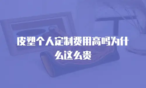 皮塑个人定制费用高吗为什么这么贵