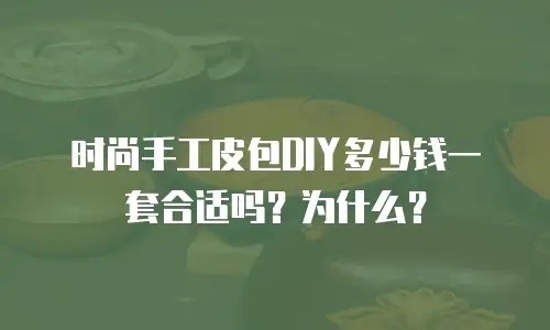 时尚手工皮包DIY多少钱一套合适吗？为什么？