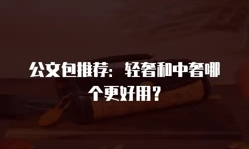 公文包推荐：轻奢和中奢哪个更好用？