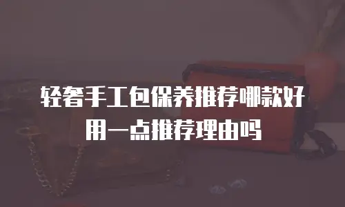轻奢手工包保养推荐哪款好用一点推荐理由吗