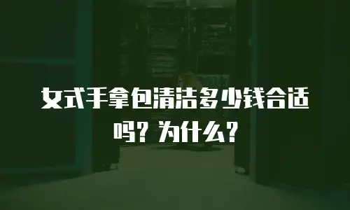 女式手拿包清洁多少钱合适吗？为什么？