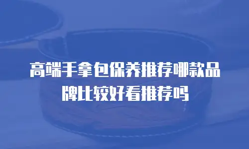 高端手拿包保养推荐哪款品牌比较好看推荐吗