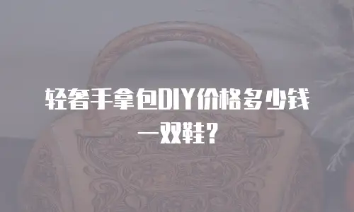 轻奢手拿包DIY价格多少钱一双鞋？