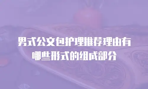 男式公文包护理推荐理由有哪些形式的组成部分