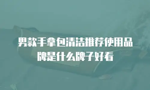 男款手拿包清洁推荐使用品牌是什么牌子好看