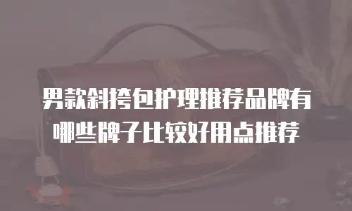 男款斜挎包护理推荐品牌有哪些牌子比较好用点推荐