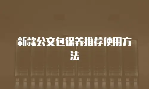  新款公文包保养推荐使用方法