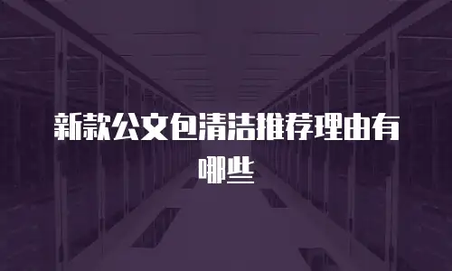 新款公文包清洁推荐理由有哪些