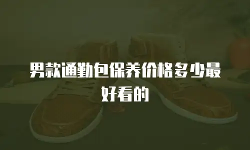 男款通勤包保养价格多少最好看的