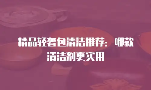 精品轻奢包清洁推荐：哪款清洁剂更实用