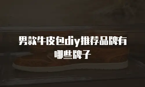 男款牛皮包diy推荐品牌有哪些牌子