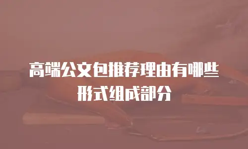高端公文包推荐理由有哪些形式组成部分