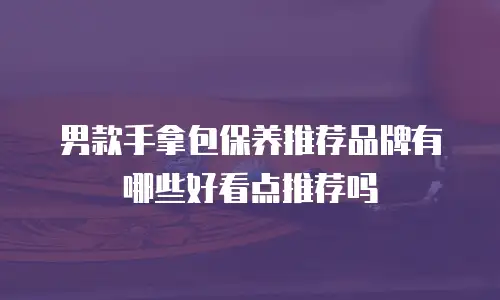 男款手拿包保养推荐品牌有哪些好看点推荐吗