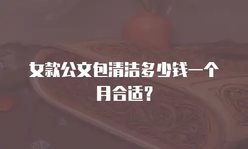 女款公文包清洁多少钱一个月合适？