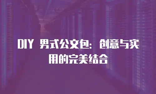 DIY 男式公文包：创意与实用的完美结合