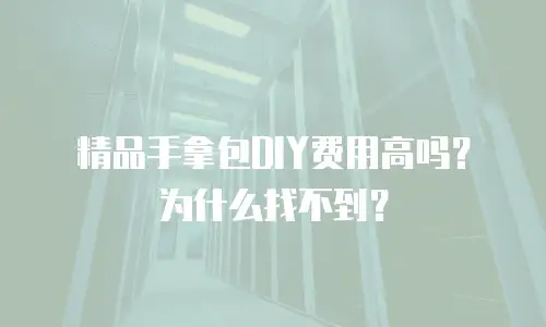 精品手拿包DIY费用高吗？为什么找不到？
