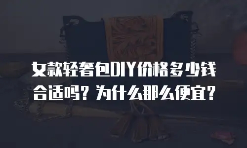 女款轻奢包DIY价格多少钱合适吗？为什么那么便宜？