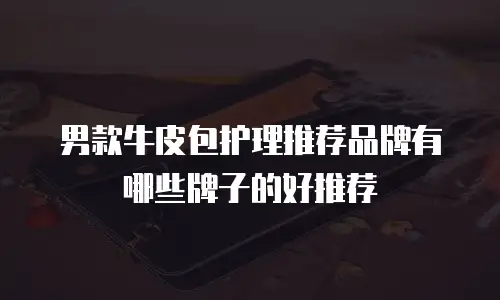 男款牛皮包护理推荐品牌有哪些牌子的好推荐