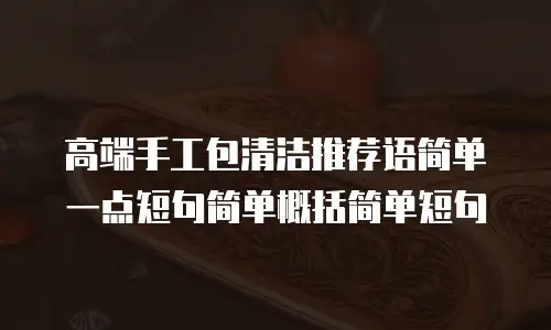 高端手工包清洁推荐语简单一点短句简单概括简单短句