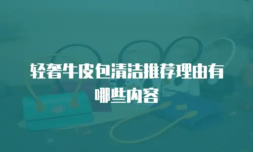 轻奢牛皮包清洁推荐理由有哪些内容
