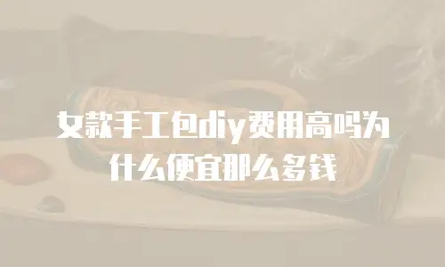 女款手工包diy费用高吗为什么便宜那么多钱