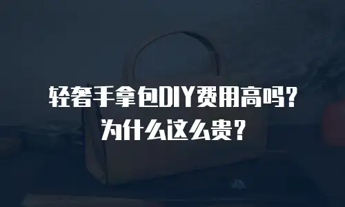 轻奢手拿包DIY费用高吗？为什么这么贵？