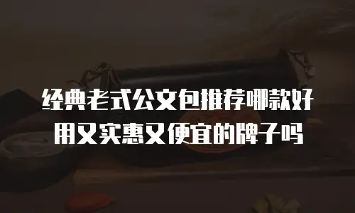 经典老式公文包推荐哪款好用又实惠又便宜的牌子吗