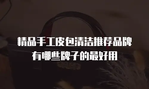 精品手工皮包清洁推荐品牌有哪些牌子的最好用