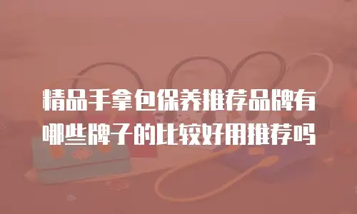 精品手拿包保养推荐品牌有哪些牌子的比较好用推荐吗