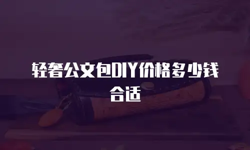 轻奢公文包DIY价格多少钱合适