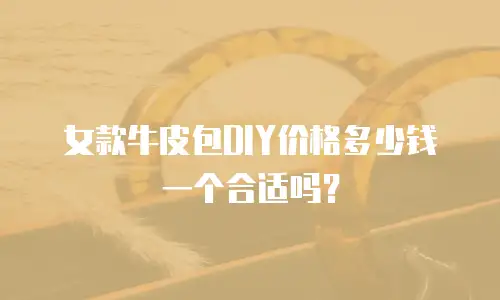 女款牛皮包DIY价格多少钱一个合适吗？
