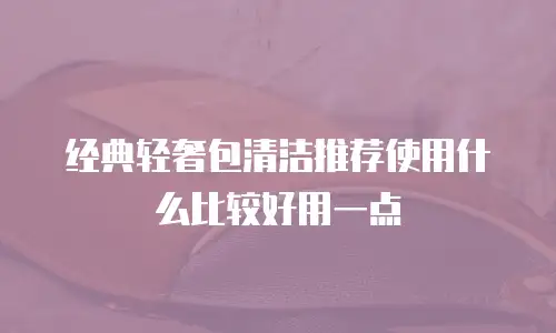 经典轻奢包清洁推荐使用什么比较好用一点