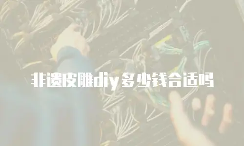 非遗皮雕diy多少钱合适吗