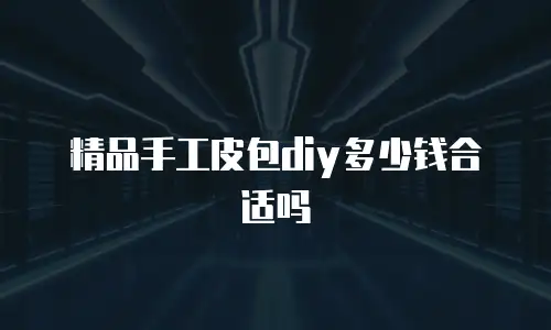 精品手工皮包diy多少钱合适吗
