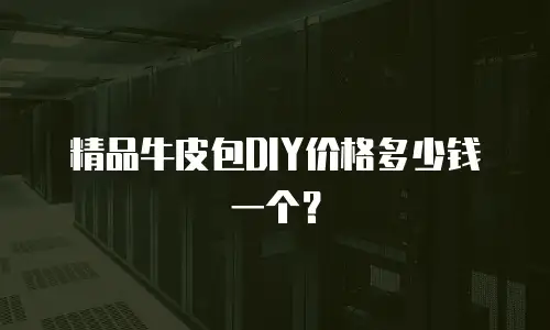 精品牛皮包DIY价格多少钱一个？