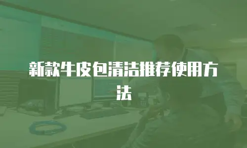 新款牛皮包清洁推荐使用方法