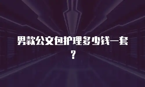 男款公文包护理多少钱一套？