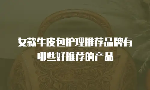 女款牛皮包护理推荐品牌有哪些好推荐的产品