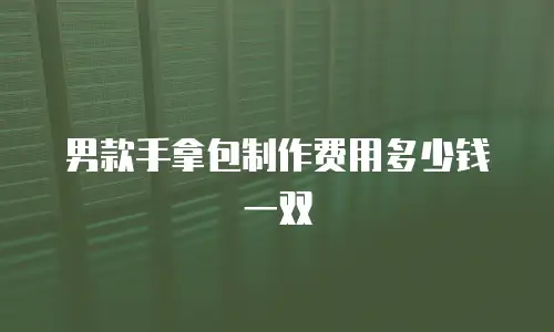 男款手拿包制作费用多少钱一双