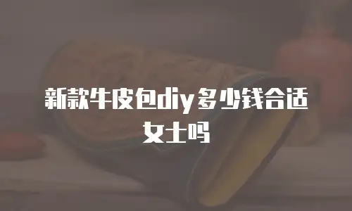 新款牛皮包diy多少钱合适女士吗