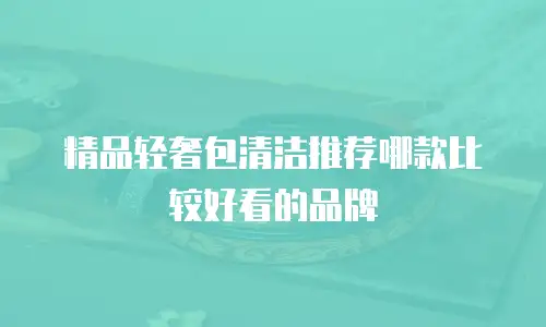 精品轻奢包清洁推荐哪款比较好看的品牌