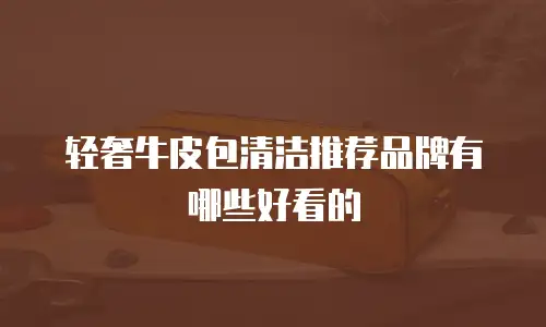 轻奢牛皮包清洁推荐品牌有哪些好看的