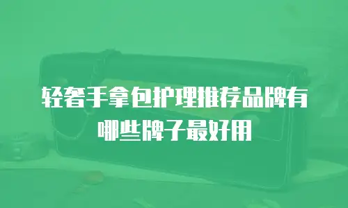 轻奢手拿包护理推荐品牌有哪些牌子最好用