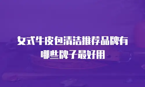 女式牛皮包清洁推荐品牌有哪些牌子最好用