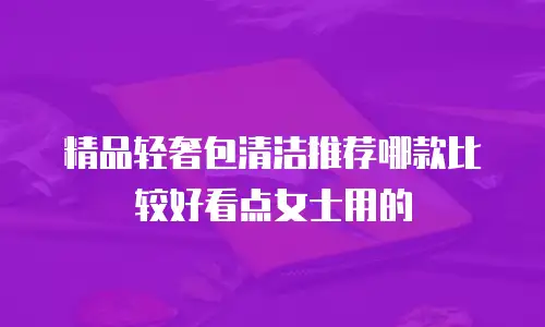 精品轻奢包清洁推荐哪款比较好看点女士用的